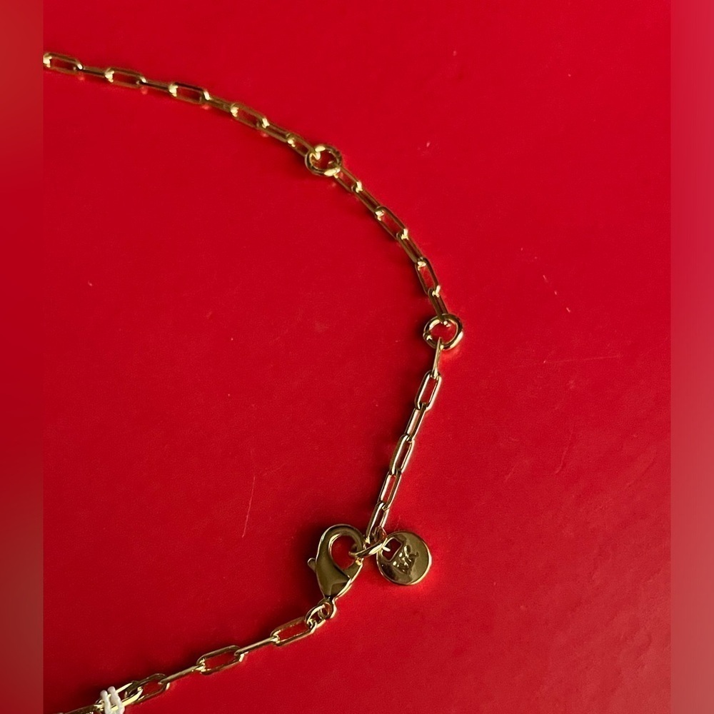 MICHAEL KORS Necklace,Michael Kors Gold Chain Necklace. - Picture 7 of 10